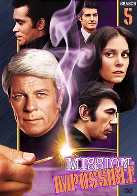 虎胆妙算 第五季